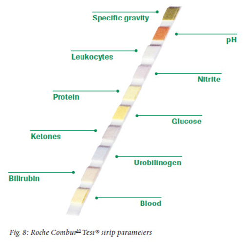 شرائط فحص البول كومبير 10 بارومتر